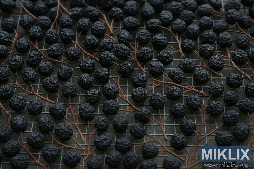 Close-up view of dried aronia berries resting on a metal drying rack with thin brown stems.