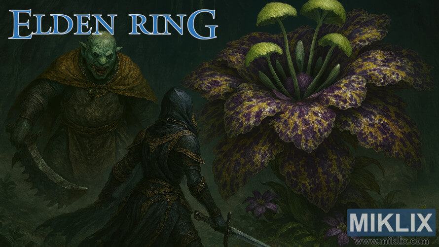 Elden Ring fan art showing Tarnished battling Omenkiller and Miranda the Blighted Bloom in a dark forest Elden Ring fan art showing Tarnished battling Omenkiller and Miranda the Blighted Bloom in a dark forest