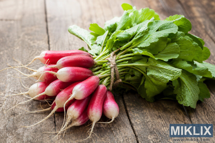 A fresh bunch of French breakfast radishes with vibrant green leaves, tied with natural twine and resting diagonally on a rustic wooden tabletop in soft natural light.