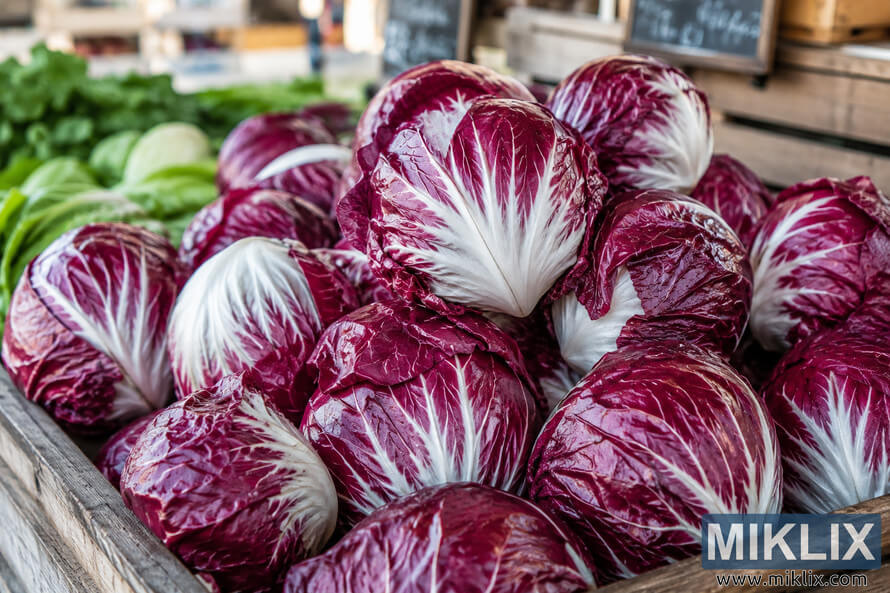 High-resolution landscape photograph of fresh burgundy and white radicchio heads stacked in rustic wooden crates at a farmers market, illuminated by soft natural daylight with a blurred background of additional seasonal produce. High-resolution landscape photograph of fresh burgundy and white radicchio heads stacked in rustic wooden crates at a farmers market, illuminated by soft natural daylight with a blurred background of additional seasonal produce.