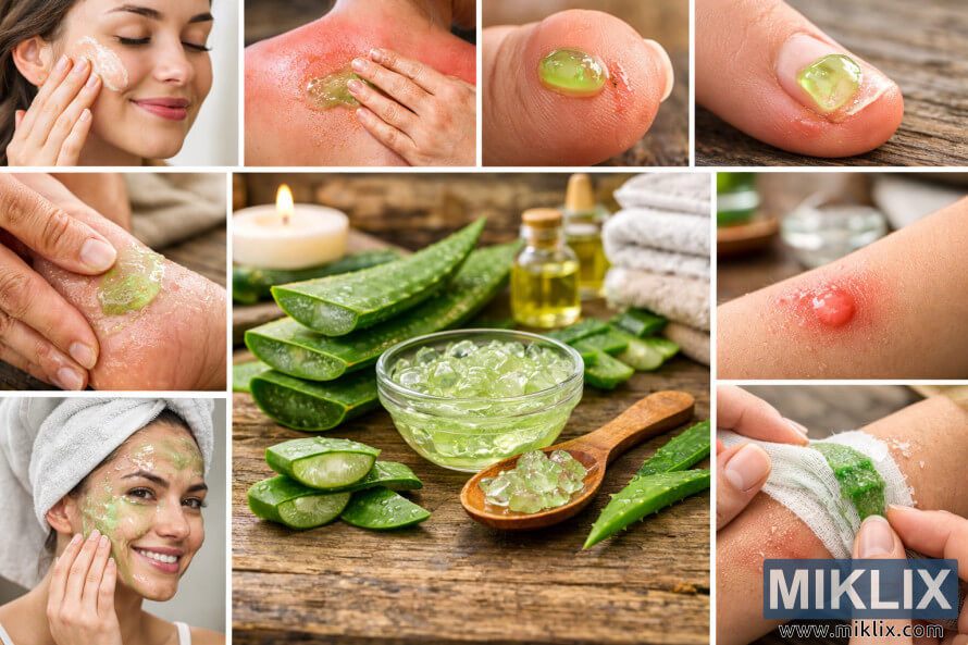 Colagem de paisagem mostrando o gel de aloe vera sendo usado para cuidados com a pele e primeiros socorros, incluindo aplicação facial, alÃvio de queimaduras solares, pequenos cortes, queimaduras, rachaduras nos calcanhares e gel de aloe vera fresco com folhas sobre uma superfÃcie de madeira. Colagem de paisagem mostrando o gel de aloe vera sendo usado para cuidados com a pele e primeiros socorros, incluindo aplicação facial, alÃvio de queimaduras solares, pequenos cortes, queimaduras, rachaduras nos calcanhares e gel de aloe vera fresco com folhas sobre uma superfÃcie de madeira.