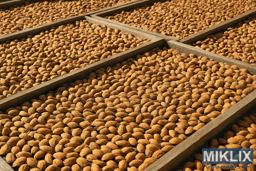 ବାହାରà ବଡ଼ à¬à¬¾à¬ ବାà¬àସରà ଶàà¬àଥିବା à¬
ମଳ ହàà¬à¬¥à¬¿à¬¬à¬¾ ବାଦାମର ଧାଡ଼ି। ବାହାରà ବଡ଼ à¬à¬¾à¬ ବାà¬àସରà ଶàà¬àଥିବା à¬
ମଳ ହàà¬à¬¥à¬¿à¬¬à¬¾ ବାଦାମର ଧାଡ଼ି।