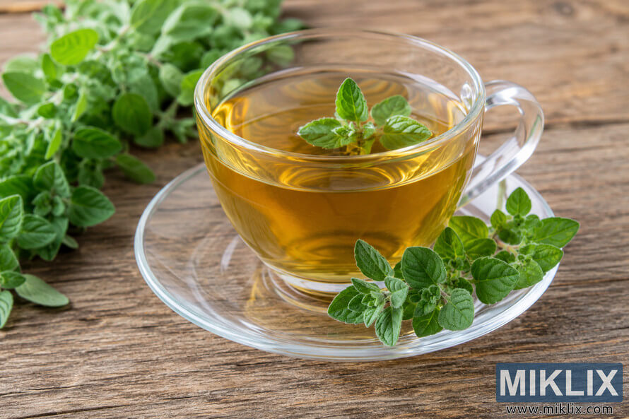 A clear glass cup filled with warm oregano herbal tea sits on a transparent saucer atop a rustic wooden table, surrounded by fresh green oregano leaves in soft natural lighting. A clear glass cup filled with warm oregano herbal tea sits on a transparent saucer atop a rustic wooden table, surrounded by fresh green oregano leaves in soft natural lighting.