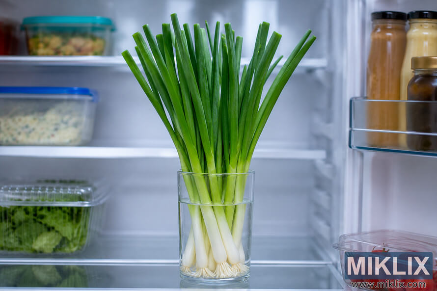 A bunch of fresh green scallions standing upright in a clear glass of water on a refrigerator shelf, surrounded by neatly organized vegetables and food containers in a clean modern fridge interior.