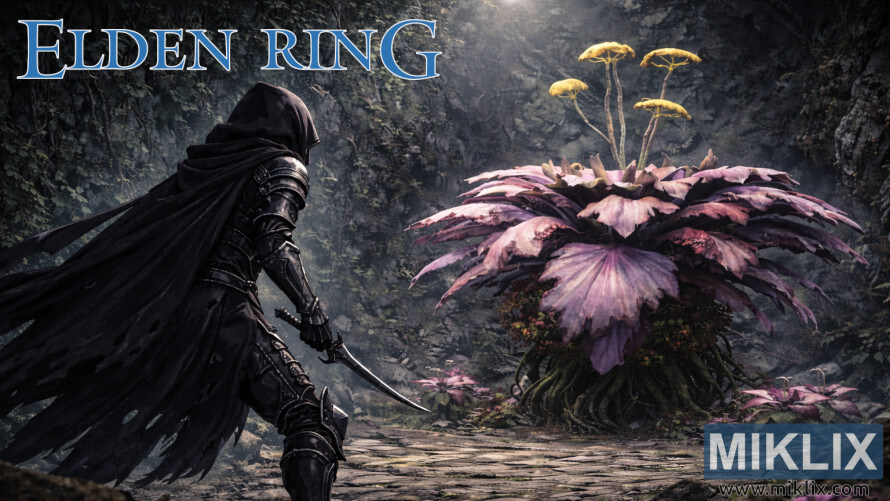 Elden Ring fan art showing the player character in Black Knife armor facing the Miranda Blossom boss inside the overgrown Tombsward Cave moments before combat. Elden Ring fan art showing the player character in Black Knife armor facing the Miranda Blossom boss inside the overgrown Tombsward Cave moments before combat.
