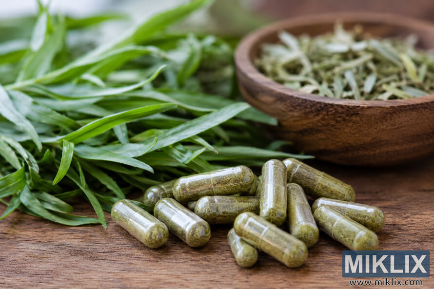 Close-up landscape image of tarragon extract capsules scattered on a rustic wooden table beside fresh tarragon leaves and a wooden bowl filled with dried herbs, illuminated by soft natural light. Close-up landscape image of tarragon extract capsules scattered on a rustic wooden table beside fresh tarragon leaves and a wooden bowl filled with dried herbs, illuminated by soft natural light.