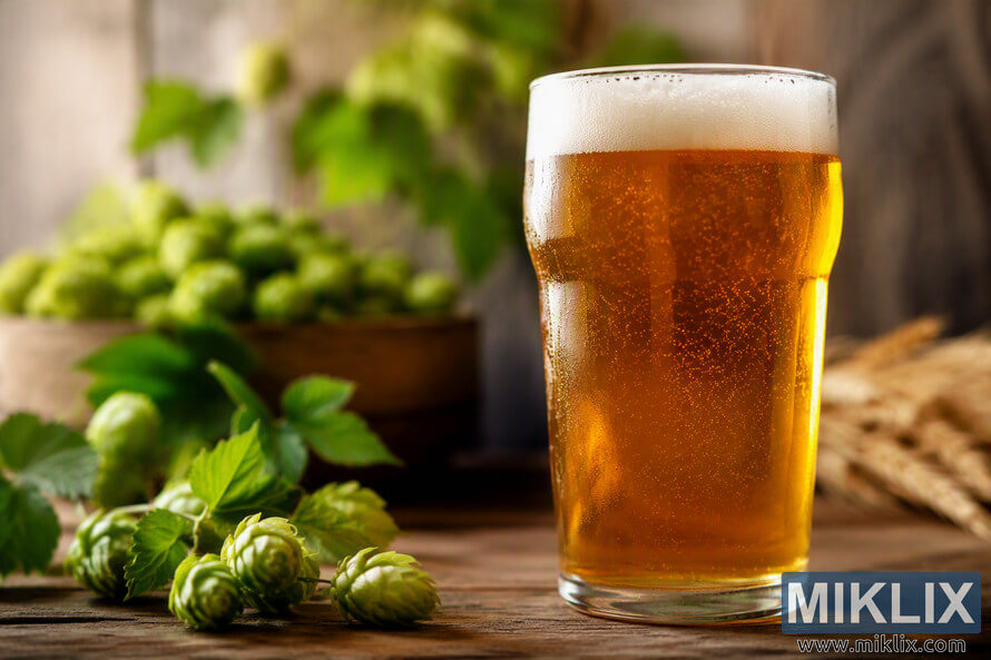 A clear golden-amber beer with a dense white foam head is served in a clean pint glass on a rustic wooden table. Fresh green hop cones and hop leaves are arranged in the foreground, while additional hops and brewing-related natural elements appear softly blurred in the background. Warm lighting highlights the beerâs clarity, carbonation bubbles, and inviting color. A clear golden-amber beer with a dense white foam head is served in a clean pint glass on a rustic wooden table. Fresh green hop cones and hop leaves are arranged in the foreground, while additional hops and brewing-related natural elements appear softly blurred in the background. Warm lighting highlights the beerâs clarity, carbonation bubbles, and inviting color.