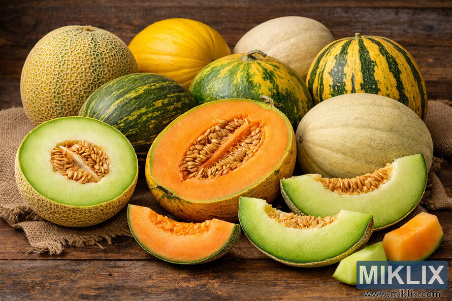 A high-resolution landscape photograph showing a variety of specialty melons, including halved Galia and Crenshaw melons, arranged on a rustic wooden surface with burlap fabric. A high-resolution landscape photograph showing a variety of specialty melons, including halved Galia and Crenshaw melons, arranged on a rustic wooden surface with burlap fabric.