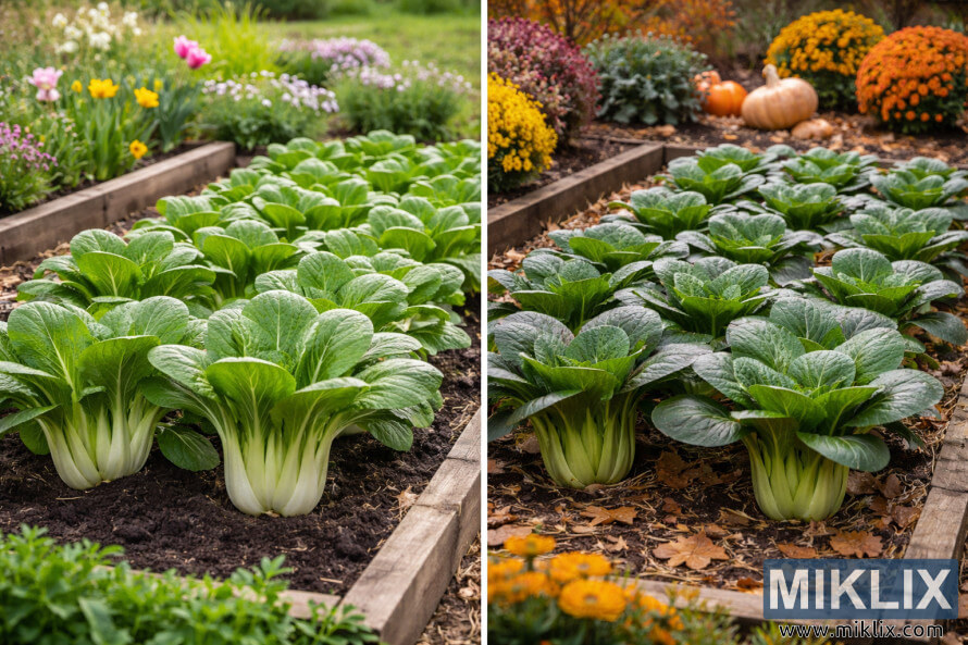 à¨¬à¨¾à¨à¨¼ à¨¦à© à¨à¨¿à¨¨à¨¾à¨°à¨¿à¨à¨ 'à¨¤à© à¨à©±à¨ à¨°à¨¹à© à¨¬à©à¨ à¨à©à¨ à¨¦à¨¾ à¨²à©à¨à¨¡à¨¸à¨à©à¨ª à¨¦à©à¨°à¨¿à¨¸à¨¼, à¨à©±à¨ à¨ªà¨¾à¨¸à© à¨¬à¨¸à©°à¨¤ à¨°à©à©±à¨¤ à¨¦à© à¨ªà©à¨¦à© à¨à¨¤à© à¨¦à©à¨à© à¨ªà¨¾à¨¸à© à¨ªà¨¤à¨à© à¨¦à© à¨°à©°à¨à¨¾à¨ à¨µà¨¾à¨²à© à¨ªà¨¤à¨à© à¨¦à© à¨ªà©à¨¦à©à¥¤