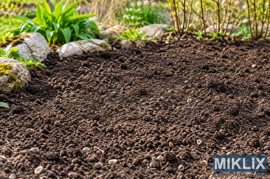 Freshly prepared dark garden soil with small pebbles, bordered by rounded rocks, green foliage, and woody stems in warm sunlight.