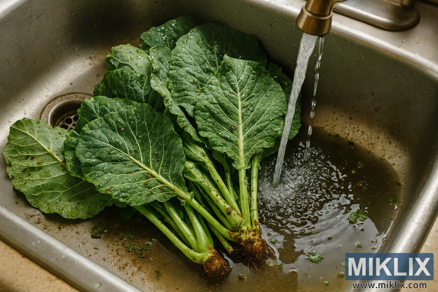 Ô¹Õ¡ÖÕ´ Õ°Õ¡Õ¾Õ¡ÖÕ¾Õ¡Õ® Õ¯Õ¡Õ²Õ¡Õ´Õ¢Õ¨ Õ¬Õ¾Õ¡ÖÕ¾Õ¸ÖÕ´ Õ§ Õ°Õ¸Õ½Õ¸Õ² Õ»ÖÕ« Õ¿Õ¡Õ¯ Õ­Õ¸Õ°Õ¡Õ¶Õ¸ÖÕ¡ÕµÕ«Õ¶ Õ¬Õ¾Õ¡ÖÕ¡ÖÕ¡Õ¶Õ¸ÖÕ´