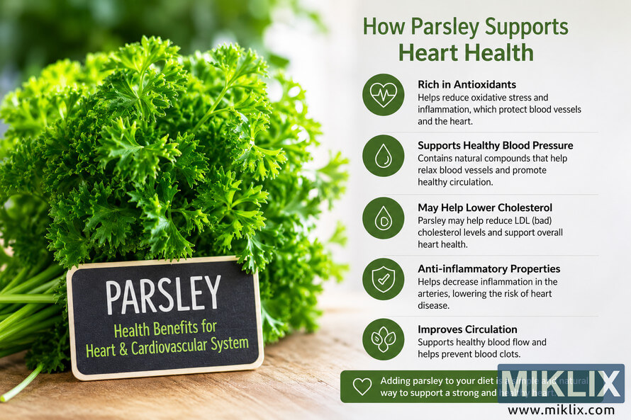 Landscape infographic showing fresh green parsley on a wooden surface beside educational text about parsley supporting heart and cardiovascular health through antioxidants, healthy blood pressure support, improved circulation, and anti-inflammatory properties.