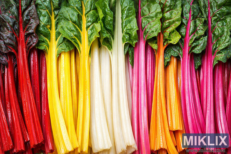 Close-up landscape photo of rainbow Swiss chard stems showing red, yellow, white, pink, orange, and magenta stalks with green leaves and water droplets.