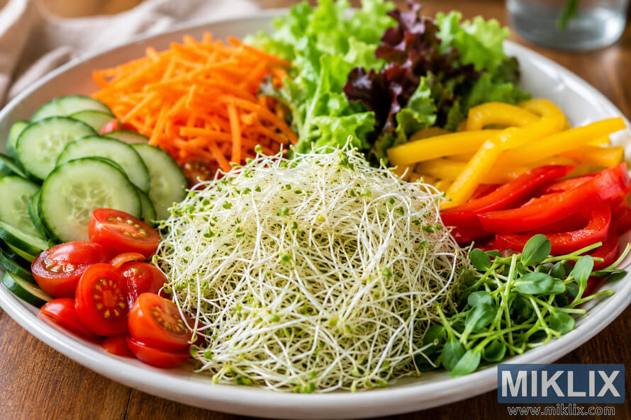 Fresh alfalfa sprouts arranged on a white plate with sliced cucumbers, cherry tomatoes, shredded carrots, bell pepper strips, leafy greens, and microgreens on a wooden table in natural light.