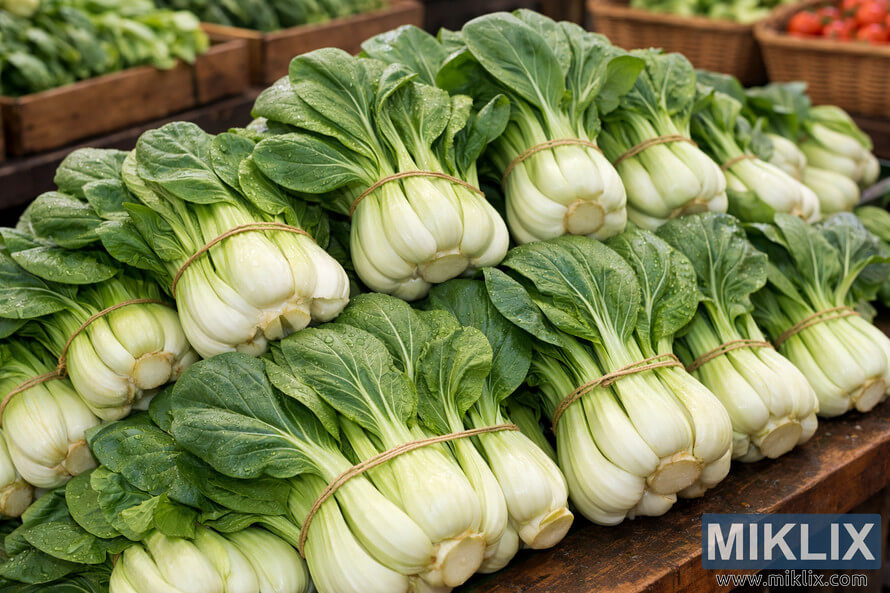 Bundles of fresh bok choy neatly arranged on a wooden stall at a farmers market, with vibrant green leaves and crisp white stalks glistening under natural light. Bundles of fresh bok choy neatly arranged on a wooden stall at a farmers market, with vibrant green leaves and crisp white stalks glistening under natural light.
