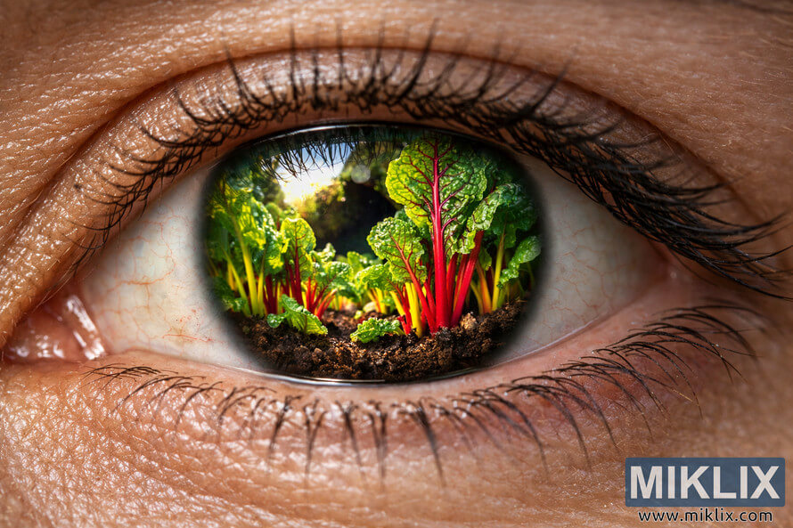 Close-up of a human eye showing a detailed reflection of Swiss chard leaves in the iris, symbolizing the connection between vision and nutrition. Close-up of a human eye showing a detailed reflection of Swiss chard leaves in the iris, symbolizing the connection between vision and nutrition.