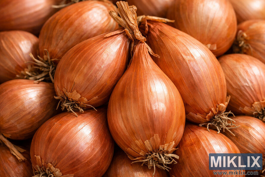 A detailed close-up photograph of shallot bulbs showing their copper-colored papery skins and clustered growth pattern.