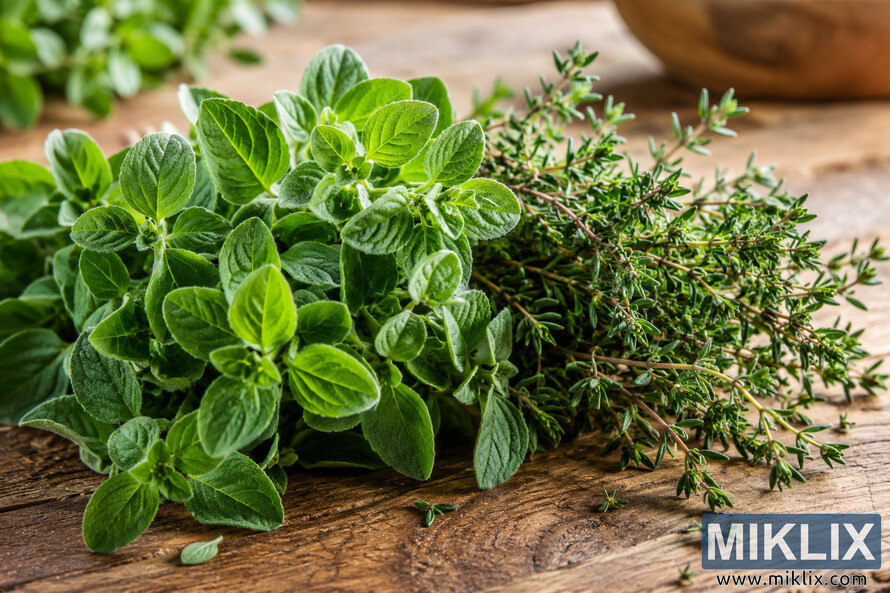 High-resolution landscape photograph of fresh oregano-like leaves and thyme-like sprigs arranged on a rustic wooden surface in warm natural light. High-resolution landscape photograph of fresh oregano-like leaves and thyme-like sprigs arranged on a rustic wooden surface in warm natural light.