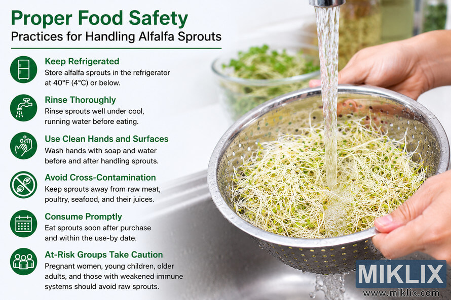 Infographic showing proper food safety practices for handling alfalfa sprouts, including refrigeration, rinsing thoroughly, washing hands, avoiding cross-contamination, consuming promptly, and taking extra caution for at-risk groups. The image features hands rinsing fresh alfalfa sprouts in a metal colander under running water in a clean kitchen sink.