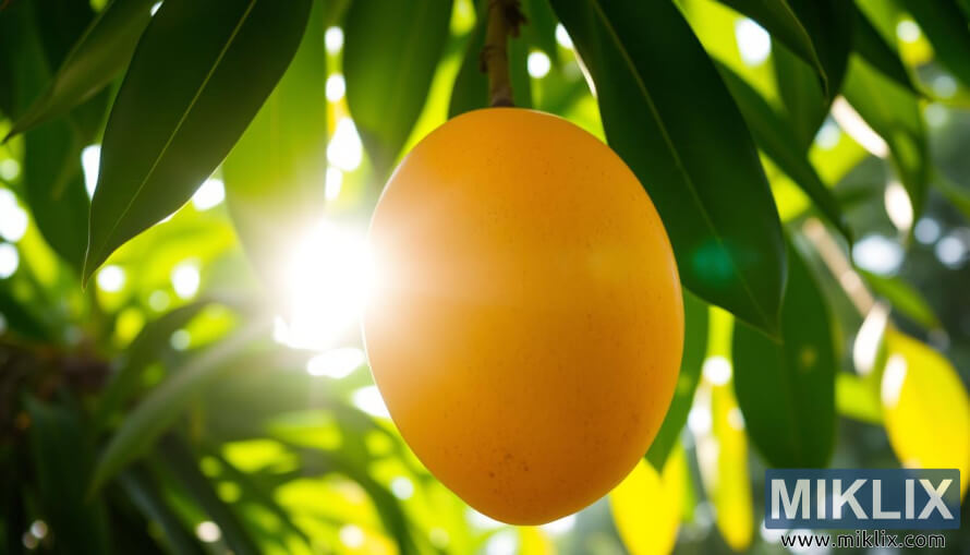 ÐÑÑÐ¿Ð½Ð¸ Ð¿Ð»Ð°Ð½ Ð·ÑÐµÐ»Ð¾Ð³ Ð·Ð»Ð°ÑÐ½Ð¾-Ð½Ð°ÑÐ°Ð½ÑÐ°ÑÑÐ¾Ð³ Ð¼Ð°Ð½Ð³Ð° ÐºÐ¾ÑÐ¸ Ð²Ð¸ÑÐ¸ ÑÐ° Ð·ÐµÐ»ÐµÐ½Ð¸Ñ Ð³ÑÐ°Ð½Ð° Ð´ÑÐ²ÐµÑÐ° Ð´Ð¾Ðº ÑÑÐ½ÑÐµÐ²Ð° ÑÐ²ÐµÑÐ»Ð¾ÑÑ Ð¿ÑÐ¾Ð»Ð°Ð·Ð¸ ÐºÑÐ¾Ð· Ð»Ð¸ÑÑÐµ.