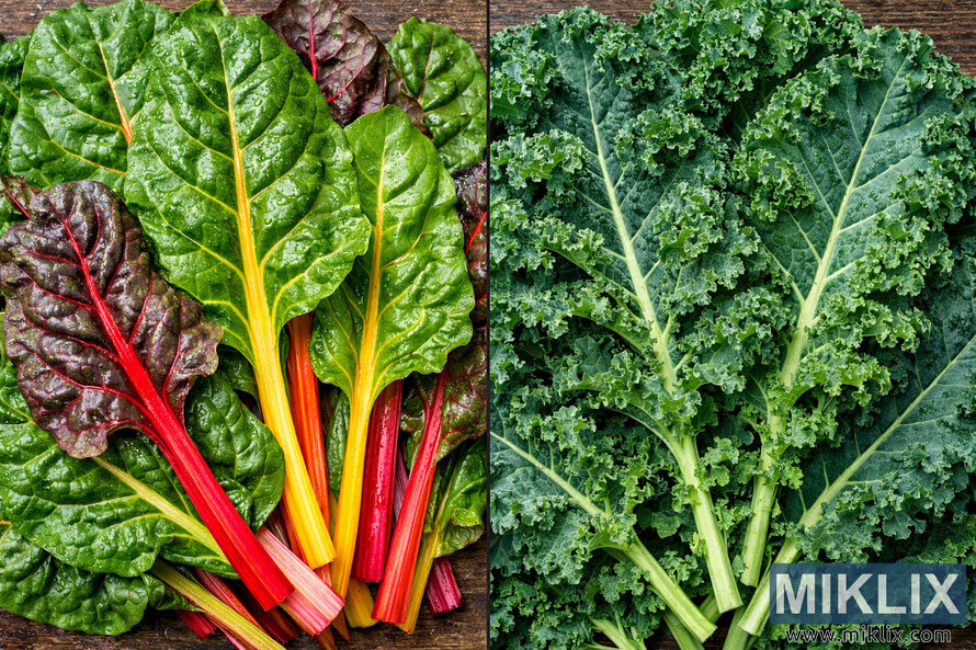 A high-resolution landscape photograph showing Swiss chard leaves on the left and kale leaves on the right, separated by a wooden surface. A high-resolution landscape photograph showing Swiss chard leaves on the left and kale leaves on the right, separated by a wooden surface.
