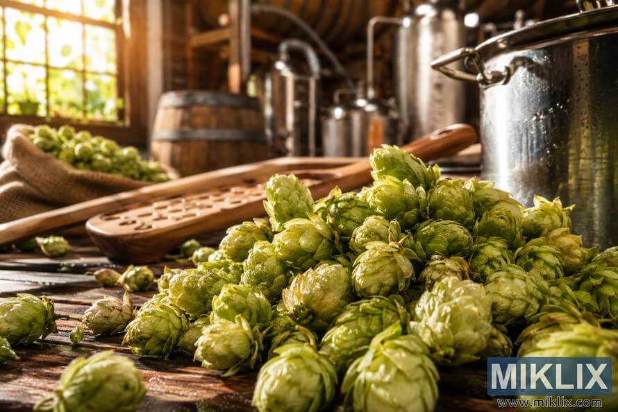 Close-up of dew-covered yellow-green Azacca hops on a rustic brewery table with a mash paddle, kettle, barrels, and warm morning light.