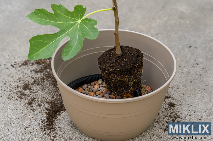 à°à°à°¡ à°¤à°à°¿à°²à± à°¤à±à°à°²à± à°¡à±à°°à±à°¨à±à°à± à°°à°¾à°³à±à°³à± à°®à°°à°¿à°¯à± à°®à°à±à°à°¿à°¤à± à°ªà±à°¦à±à°¦ à°à°à°à±à°¨à°°à±âà°²à± à°¨à°¾à°à±à°¤à±à°¨à±à°¨ à°à°à°à±à°° à°à±à°à±à°à±.