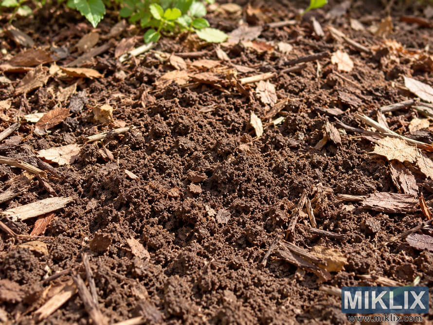 Close-up of loose brown garden soil lightly covered with wood chips, bark, twigs, and dry leaf mulch, with green foliage at the edge. Close-up of loose brown garden soil lightly covered with wood chips, bark, twigs, and dry leaf mulch, with green foliage at the edge.