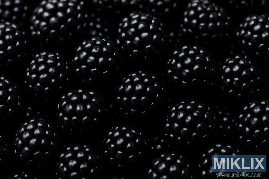 Gros plan sur des mÃ»res parfaitement mÃ»res montrant leurs drupÃ©oles brillantes, d'un violet foncÃ© Ã©clatant et leur riche texture naturelle.