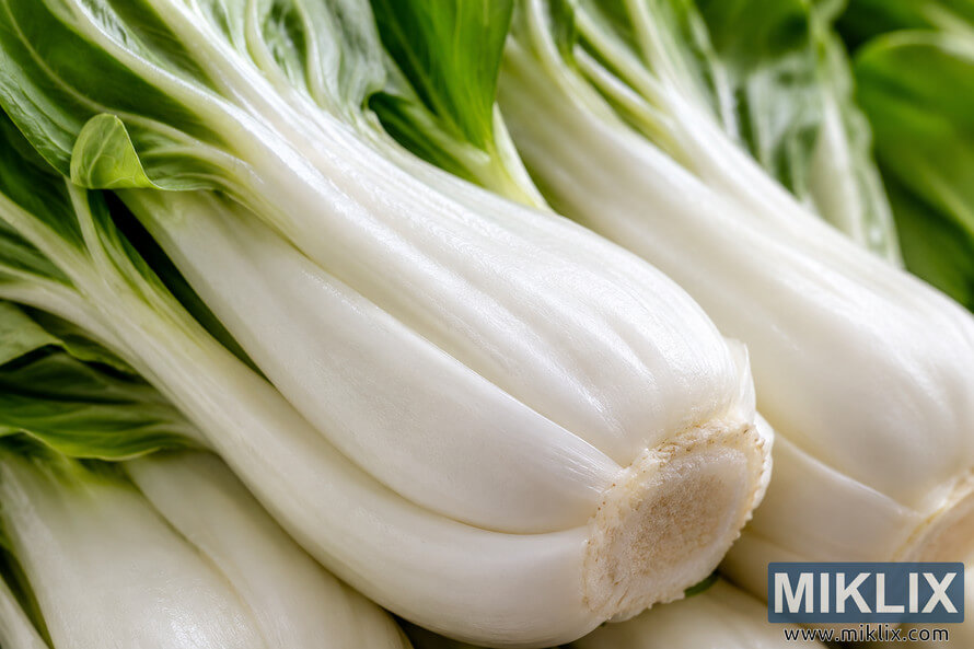 Close-up landscape image of fresh bok choy highlighting its smooth white stems and vibrant green leaves under soft natural lighting, with a shallow depth of field emphasizing the crisp texture of the vegetable. Close-up landscape image of fresh bok choy highlighting its smooth white stems and vibrant green leaves under soft natural lighting, with a shallow depth of field emphasizing the crisp texture of the vegetable.