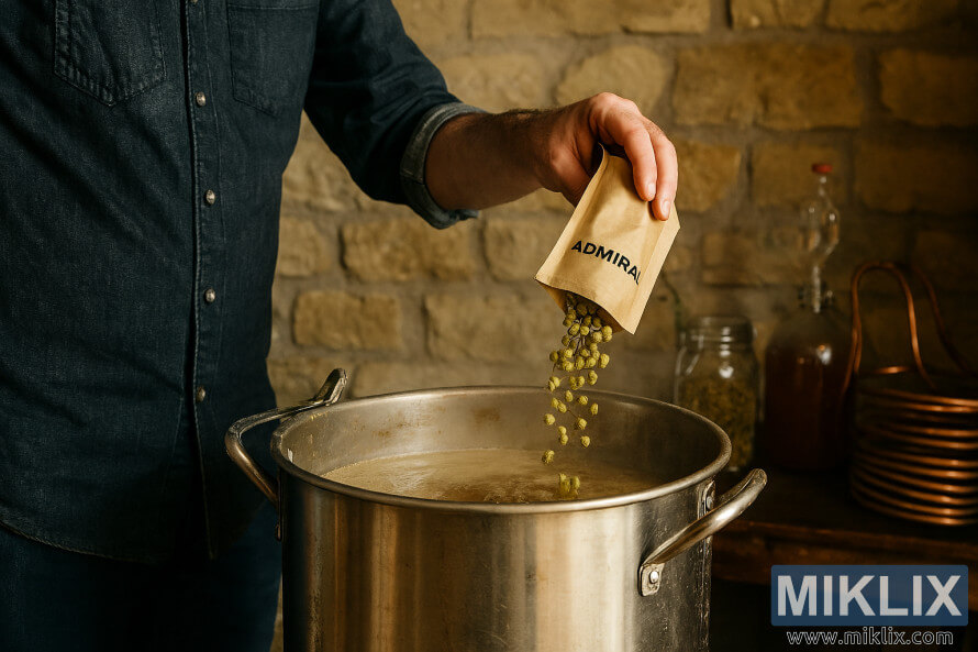 KuÄni pivar toÄi Admiral hmelj u vruÄi kotao za kuhanje piva u rustikalnom okruÅ¾enju