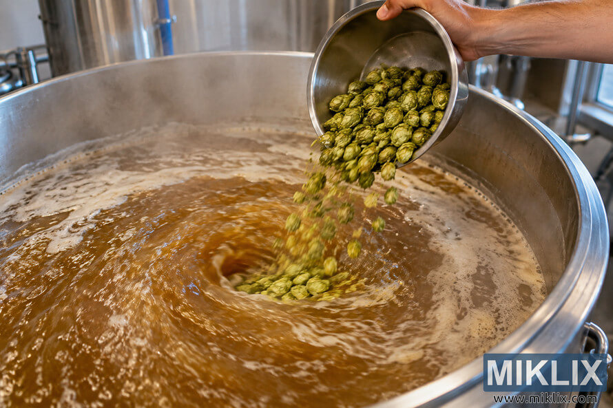 Green hops are poured from a stainless-steel bowl into swirling amber wort during a whirlpool hop addition in a professional brewing kettle. Green hops are poured from a stainless-steel bowl into swirling amber wort during a whirlpool hop addition in a professional brewing kettle.