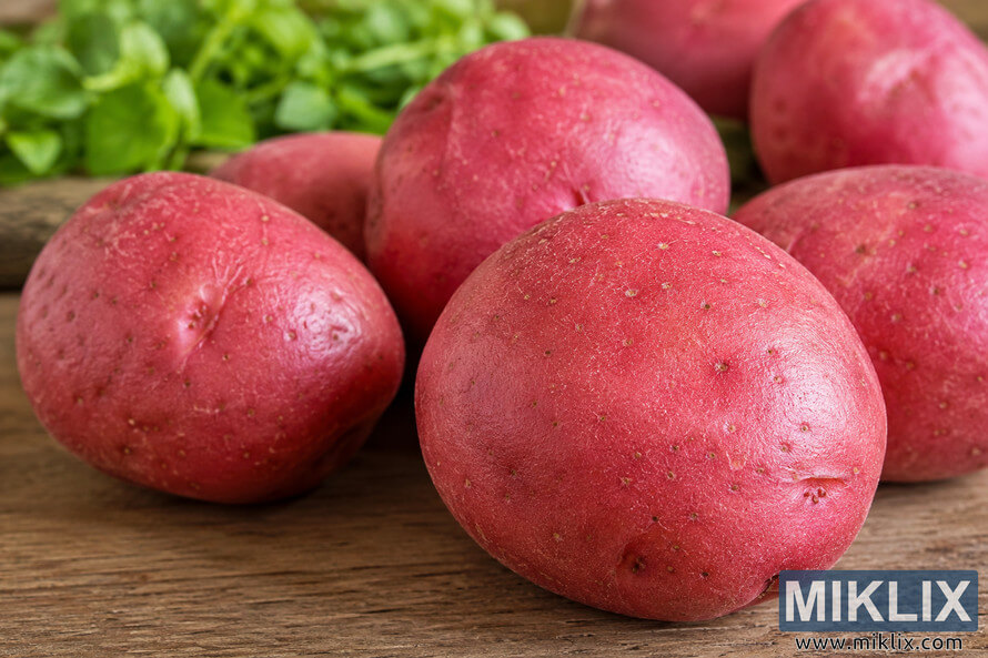 Close-up landscape photograph of several fresh red potatoes with smooth red skins resting on a rustic wooden surface, illuminated by soft natural light with a blurred green background. Close-up landscape photograph of several fresh red potatoes with smooth red skins resting on a rustic wooden surface, illuminated by soft natural light with a blurred green background.