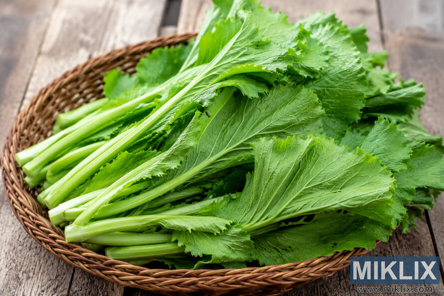 Fresh green mustard leaves arranged in a woven wicker basket on a rustic wooden table, photographed in natural light with detailed leaf textures and vibrant green tones. Fresh green mustard leaves arranged in a woven wicker basket on a rustic wooden table, photographed in natural light with detailed leaf textures and vibrant green tones.