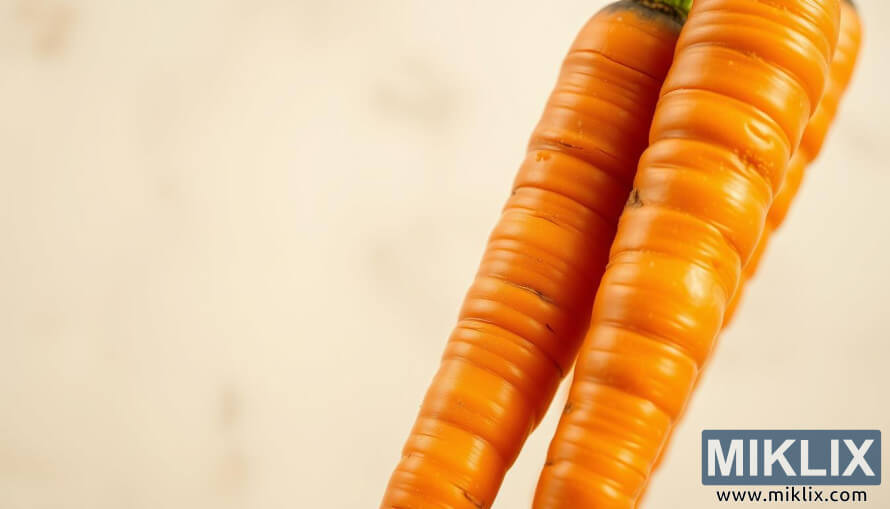 à¤®à¤ à¤¨à¥à¤¸à¤°à¥à¤à¤¿à¤ à¤ªà¥à¤°à¤à¤¾à¤¶à¤¾à¤à¤¾à¤²à¥ à¤ªà¥à¤¤à¤¾à¤à¥à¤¯à¤¾ à¤¤à¥à¤µà¤à¥à¤¸à¤¹ à¤¤à¤¾à¤à¥à¤¯à¤¾ à¤¨à¤¾à¤°à¤¿à¤à¤à¥ à¤à¤¾à¤à¤°à¤¾à¤à¤à¤¾ à¤®à¥à¤à¥à¤°à¥ à¤à¥à¤²à¥à¤-à¤à¤ª.