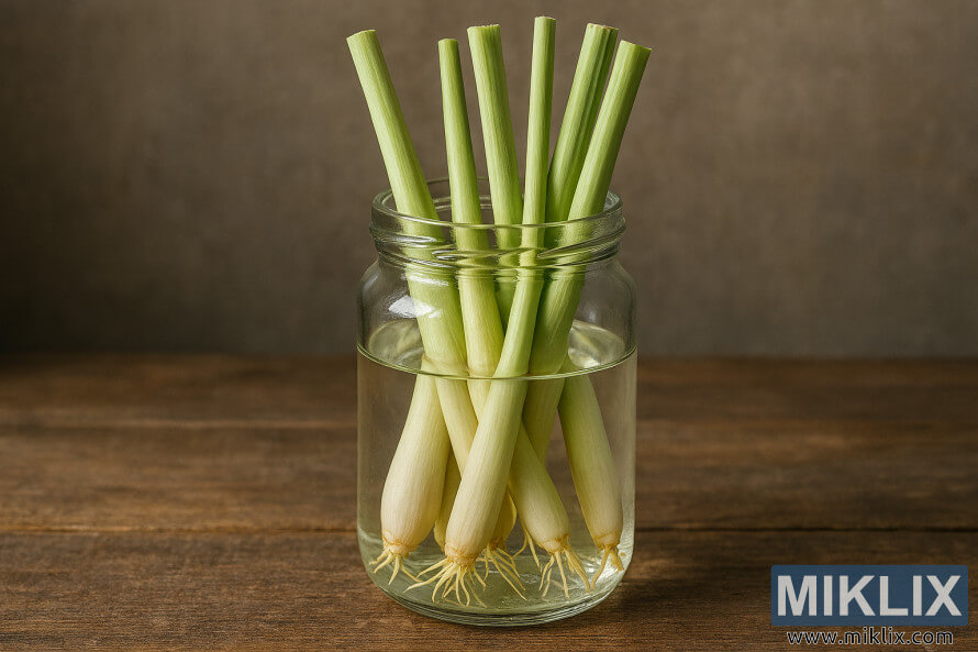 ÐÐ¾Ð´Ð¾Ð½ Ð³Ð°Ð´Ð°ÑÐ³ÑÑ Ð´ÑÑÑ ÑÑÐ°Ð½Ð´ Ò¯Ð½Ð´ÑÑÐ»ÑÑÑÐ½ Ð½Ð¸Ð¼Ð±ÑÐ³Ð½Ð¸Ð¹ Ó©Ð²ÑÐ½Ð¸Ð¹ Ð¸ÑÑÑÐ¹ ÑÐ¸Ð»ÑÐ½ ÑÐ°Ð²