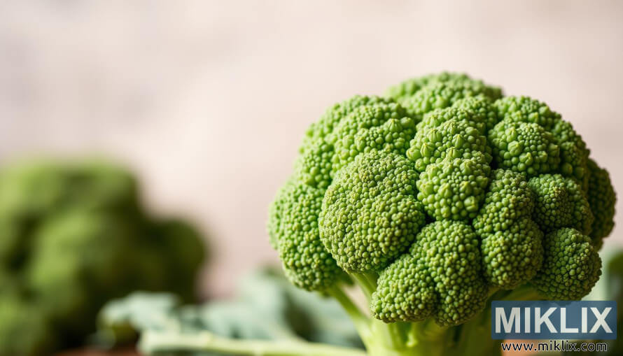 à®®à¯à®©à¯à®®à¯à®¯à®¾à®© à®à®¯à®±à¯à®à¯ à®à®³à®¿à®¯à®¿à®²à¯ à®µà®¿à®°à®¿à®µà®¾à®© à®à®®à¯à®ªà¯à®ªà¯à®à®©à¯ à®à¯à®à®¿à®¯ à®ªà¯à®¤à®¿à®¯ à®ªà®à¯à®à¯ à®ªà¯à®°à¯à®à¯à®à¯à®²à®¿ à®ªà¯à®µà®¿à®©à¯ à®à®°à¯à®à®¾à®®à¯à®ªà¯ à®ªà®à®®à¯.