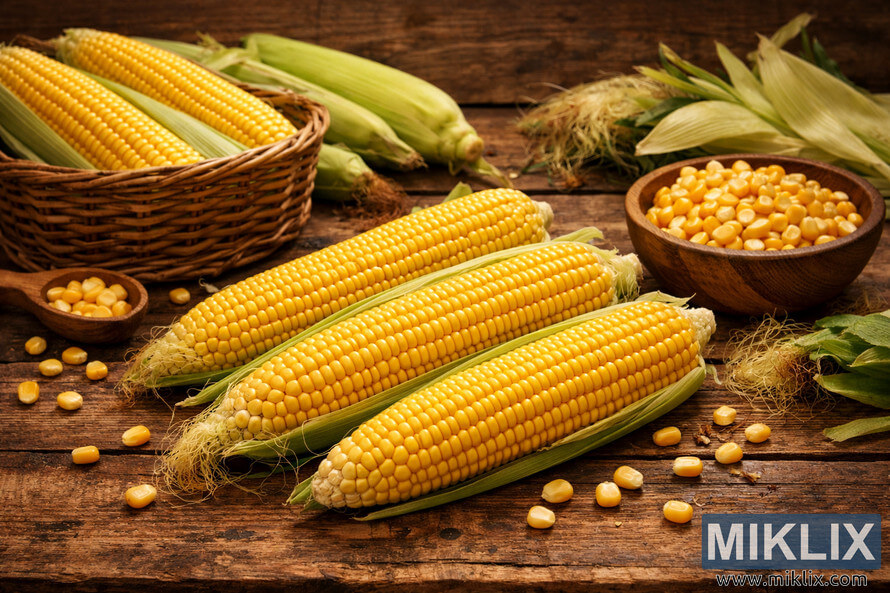 Fresh yellow corn cobs arranged on a rustic wooden table with green husks and loose kernels scattered around, highlighting the natural texture and vibrant color of the corn. Fresh yellow corn cobs arranged on a rustic wooden table with green husks and loose kernels scattered around, highlighting the natural texture and vibrant color of the corn.