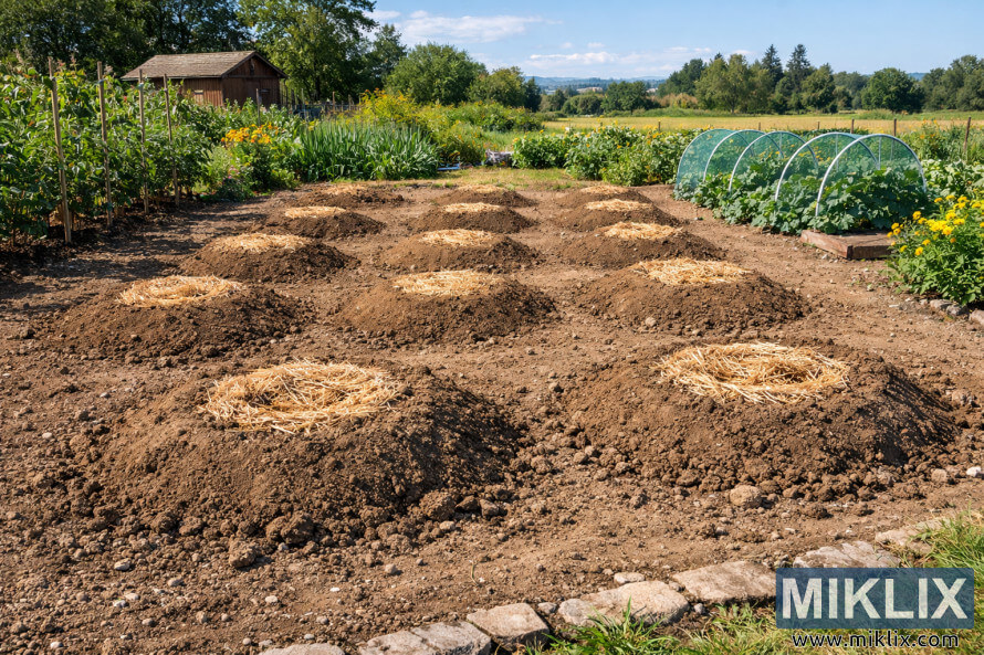ÙØ·Ø¹Ø© Ø£Ø±Ø¶ ÙØ´ÙØ³Ø© Ø¨ÙØ§ Ø£ÙÙØ§Ù ÙÙ Ø§ÙØªØ±Ø¨Ø© ÙØªØ¨Ø§Ø¹Ø¯Ø© Ø¨Ø§ÙØªØ³Ø§ÙÙ ÙÙØºØ·Ø§Ø© Ø¨ÙØ´Ø§Ø±Ø© Ø§ÙÙØ´Ø ÙÙØ¬ÙØ²Ø© ÙØ²Ø±Ø§Ø¹Ø© Ø§ÙØ´ÙØ§ÙØ ÙÙØ­Ø§Ø·Ø© Ø¨Ø§ÙØ®Ø¶Ø±Ø§ÙØ§Øª ÙØ§ÙÙØ¨Ø§ØªØ§Øª.