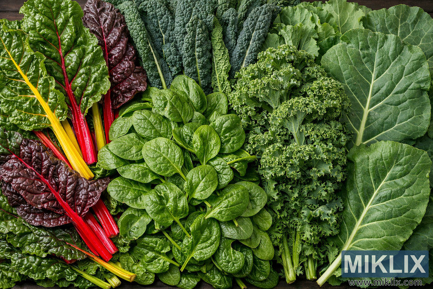 A high-resolution landscape photo showing Swiss chard, spinach, kale, and collard greens arranged together in a vibrant display of textures and colors.