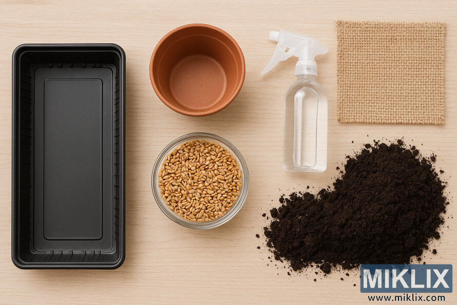 Flat lay of wheatgrass growing materials including tray, seeds, soil, spray bottle, scoop, labels, and watering can