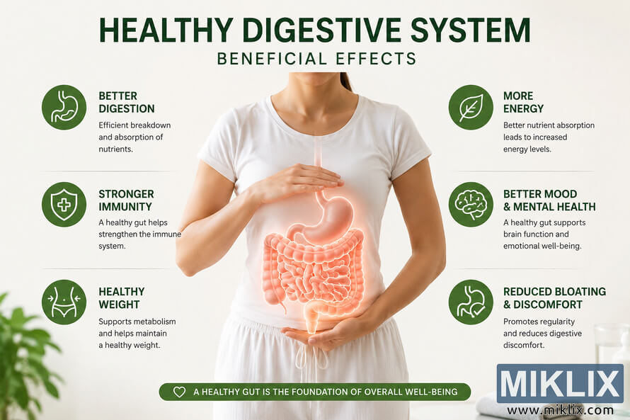Landscape-oriented medical wellness infographic showing a healthy digestive system inside the torso of a person wearing a white shirt. The glowing digestive organs are highlighted in the center, while green icons and text around the figure explain positive health effects such as better digestion, stronger immunity, increased energy, improved mood, healthy weight management, and reduced bloating. The design uses a calm light background with modern healthcare styling. Landscape-oriented medical wellness infographic showing a healthy digestive system inside the torso of a person wearing a white shirt. The glowing digestive organs are highlighted in the center, while green icons and text around the figure explain positive health effects such as better digestion, stronger immunity, increased energy, improved mood, healthy weight management, and reduced bloating. The design uses a calm light background with modern healthcare styling.