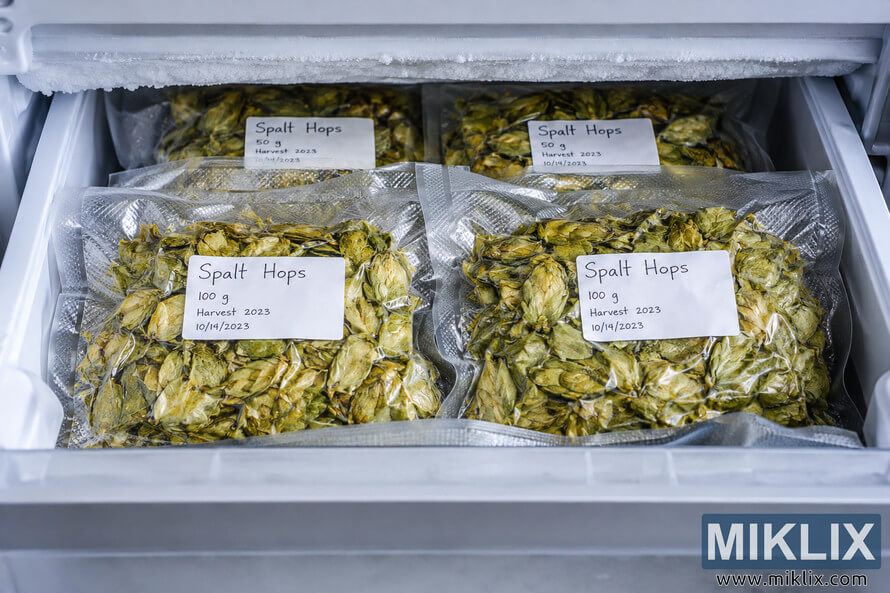 Vacuum-sealed packages of dried Spalt hops with handwritten labels arranged inside a frosted home freezer for cold storage and preservation. Vacuum-sealed packages of dried Spalt hops with handwritten labels arranged inside a frosted home freezer for cold storage and preservation.