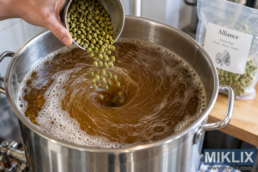 Close-up landscape photo of green Alliance hop pellets being poured from a metal cup into swirling amber wort during a whirlpool hop addition in a stainless-steel homebrew kettle. Close-up landscape photo of green Alliance hop pellets being poured from a metal cup into swirling amber wort during a whirlpool hop addition in a stainless-steel homebrew kettle.