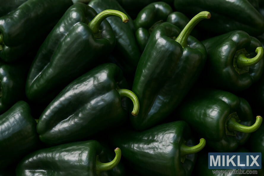 à¬à¬à¬¤àର à¬à¬¦à¬¾ ହàà¬à¬¥à¬¿à¬¬à¬¾ ତାà¬à¬¾, à¬à¬¾à¬¢à¬¼ ସବàଠପàବàଲାନà ଲà¬àà¬à¬¾à¬° à¬àଲàà¬à-à¬
ପà à¬à¬à¬¤àର à¬à¬¦à¬¾ ହàà¬à¬¥à¬¿à¬¬à¬¾ ତାà¬à¬¾, à¬à¬¾à¬¢à¬¼ ସବàଠପàବàଲାନà ଲà¬àà¬à¬¾à¬° à¬àଲàà¬à-à¬
ପà