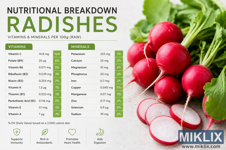 Landscape infographic showing a nutritional breakdown chart of vitamins and minerals in raw radishes beside a photo of fresh red radishes and sliced radishes with green leaves. Landscape infographic showing a nutritional breakdown chart of vitamins and minerals in raw radishes beside a photo of fresh red radishes and sliced radishes with green leaves.