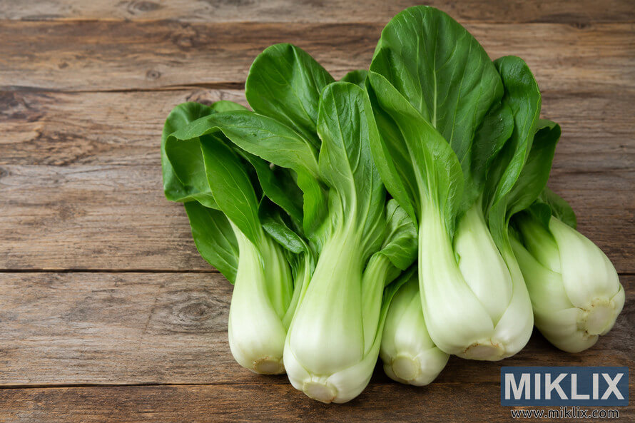 Fresh bok choy with vibrant green leaves and crisp white stems arranged on a rustic wooden table in soft natural light, photographed in a landscape composition. Fresh bok choy with vibrant green leaves and crisp white stems arranged on a rustic wooden table in soft natural light, photographed in a landscape composition.