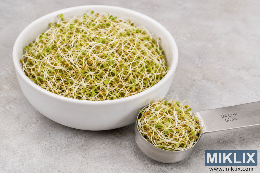 White ceramic bowl filled with fresh alfalfa sprouts beside a metal measuring spoon labeled 1/4 cup on a light gray surface.
