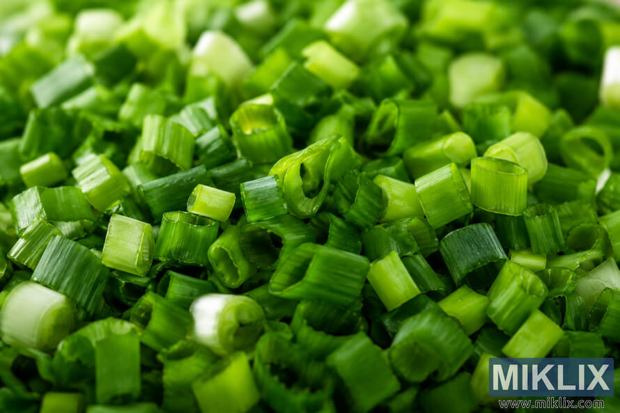 Close-up macro photograph of freshly chopped scallions with vibrant green tones, visible layered textures, and soft natural lighting in a landscape composition. Close-up macro photograph of freshly chopped scallions with vibrant green tones, visible layered textures, and soft natural lighting in a landscape composition.