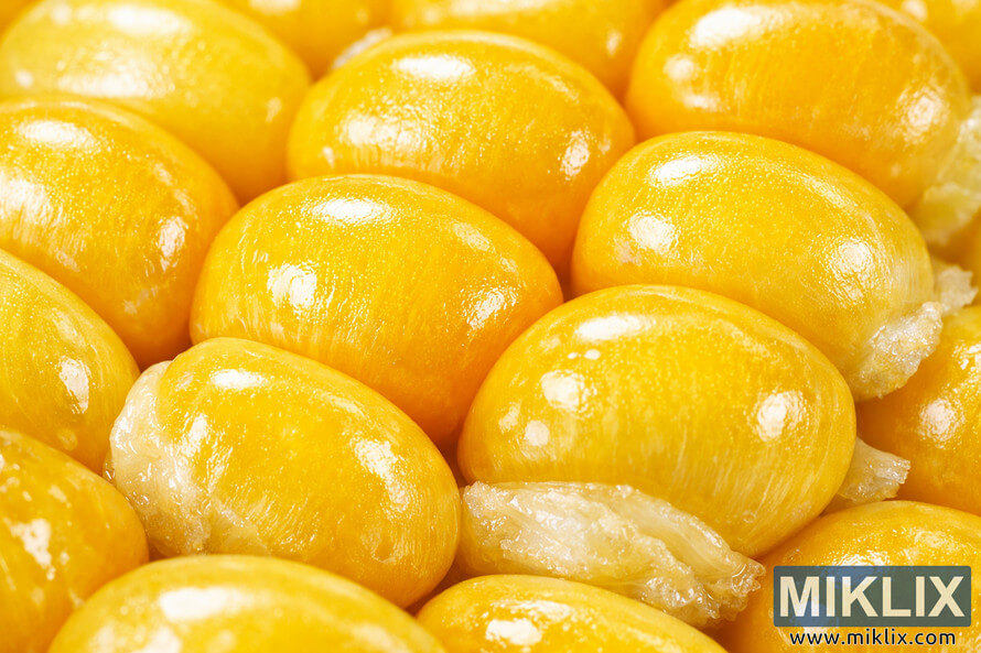 Close-up macro photograph of yellow corn kernels showing their glossy texture and natural antioxidants lutein and zeaxanthin. Close-up macro photograph of yellow corn kernels showing their glossy texture and natural antioxidants lutein and zeaxanthin.